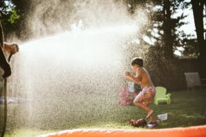 american family home insurance review