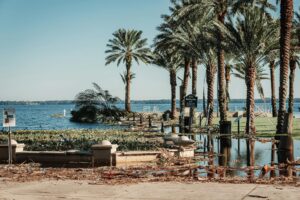 citizens property insurance review