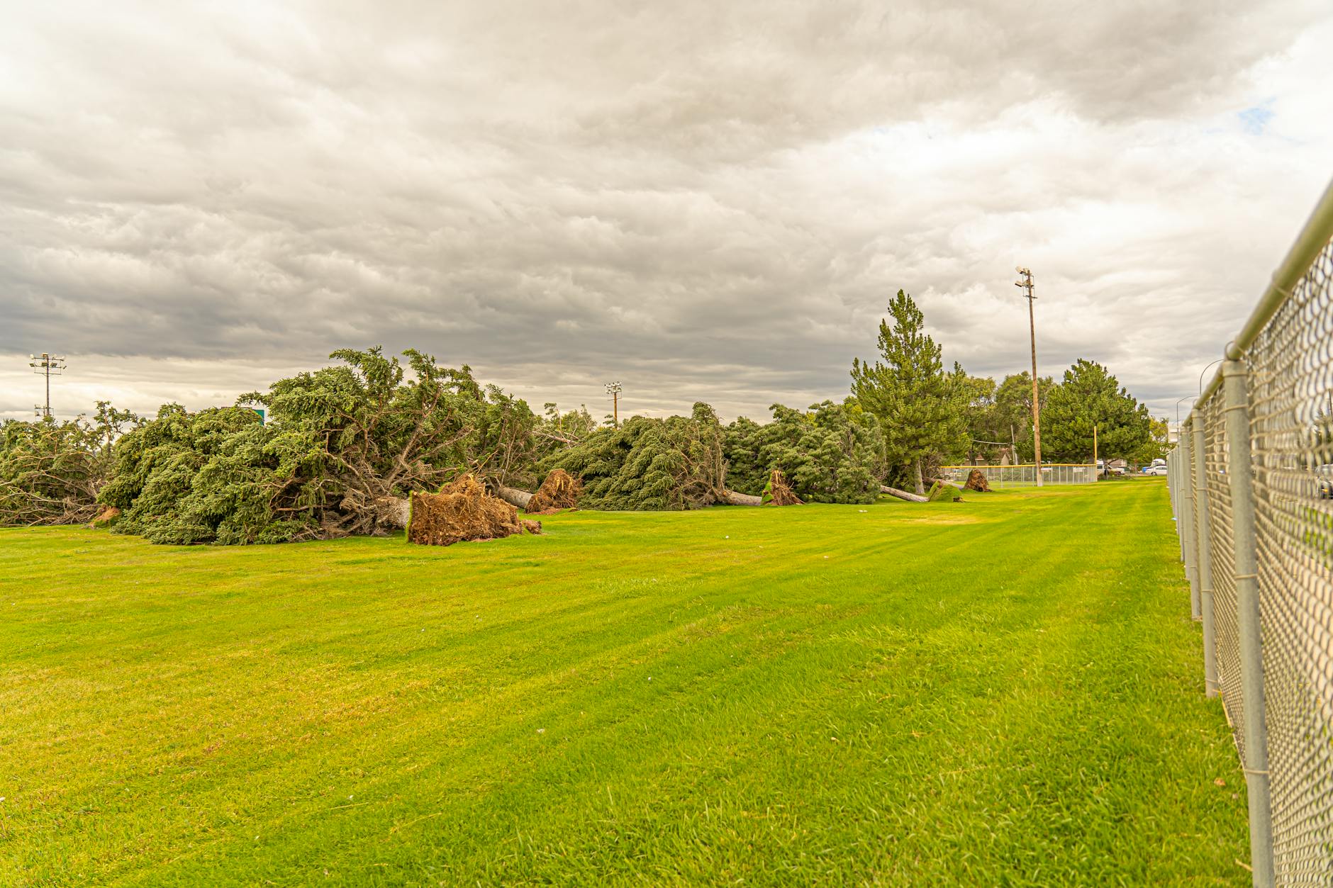 ice storm home insurance