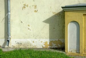 mold coverage homeowners insurance