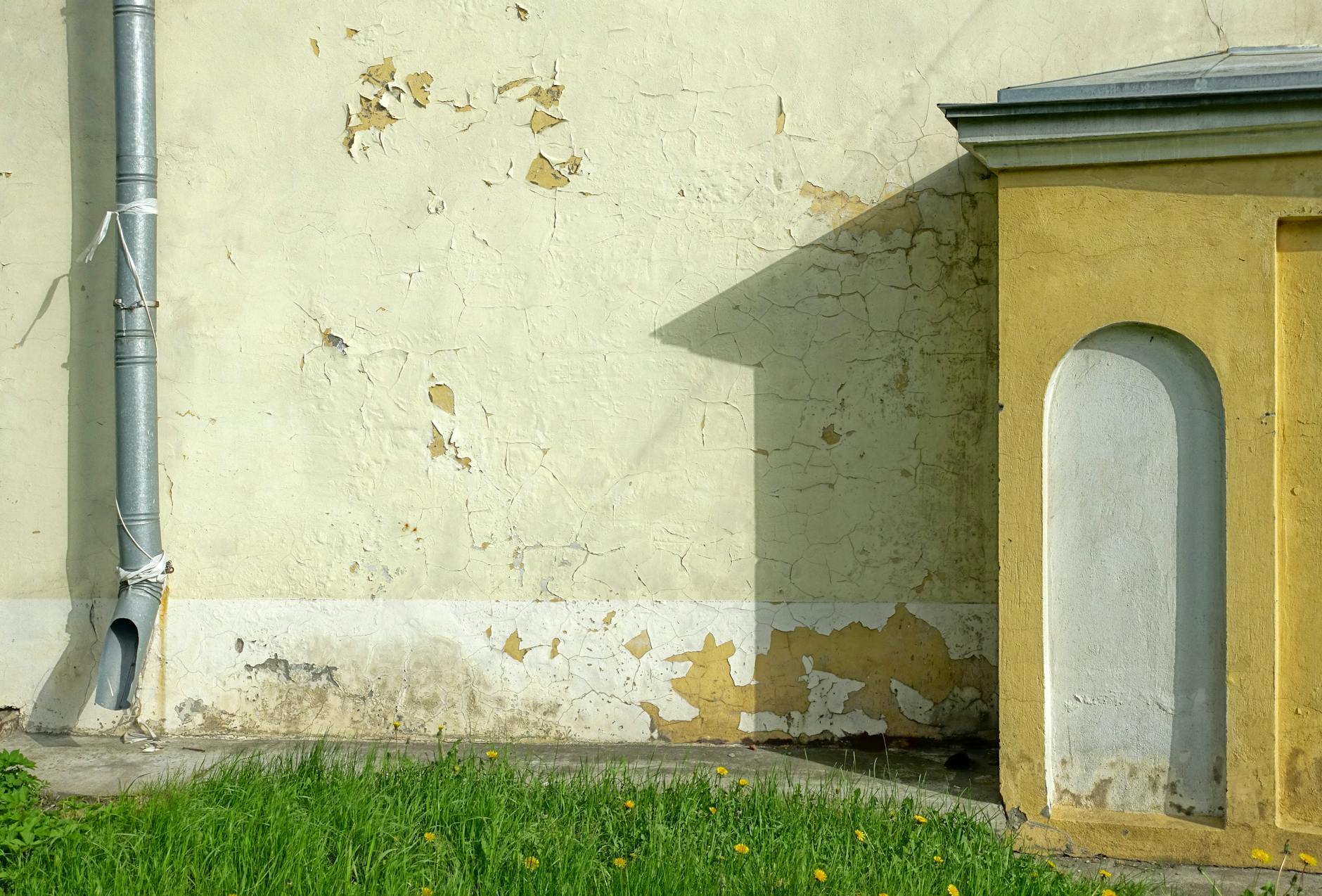 mold coverage homeowners insurance