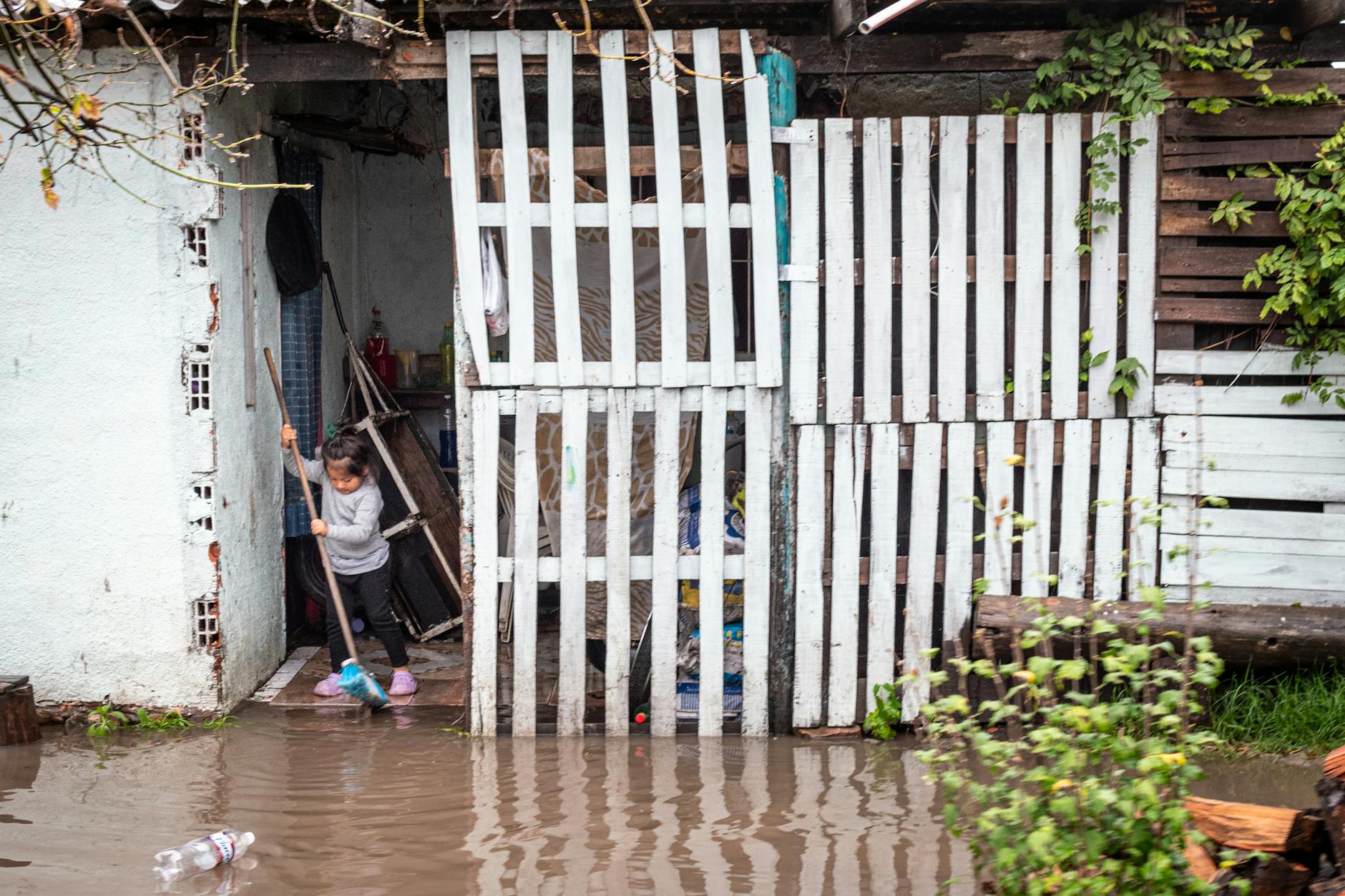 shelter insurance home review