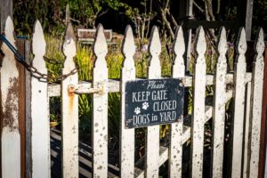 dangerous dog insurance requirements