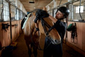 horse owner liability insurance