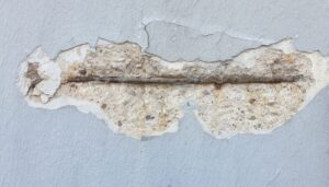 mold claim denied