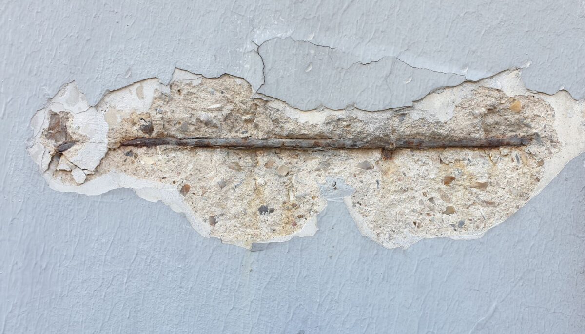 mold claim denied