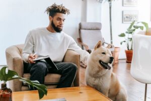 renters insurance dog bite