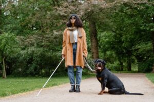 service animal liability