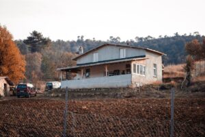 shelter vs country financial home insurance