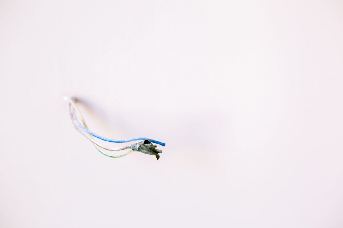 warranty electrical