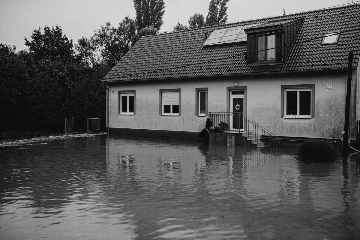 guest damages property