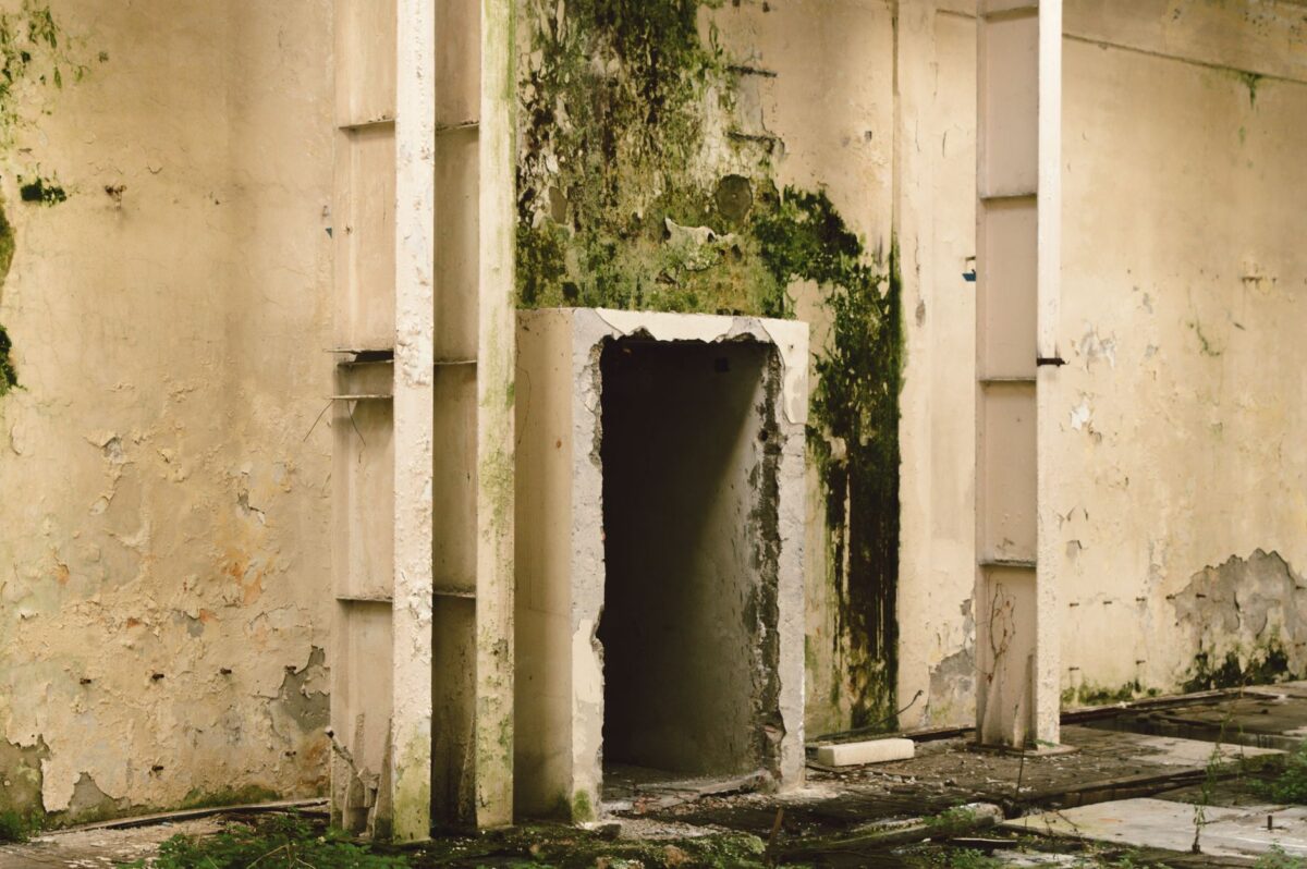 mold after buying